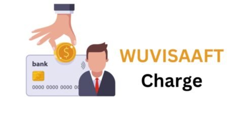 WUVISAAFT charge